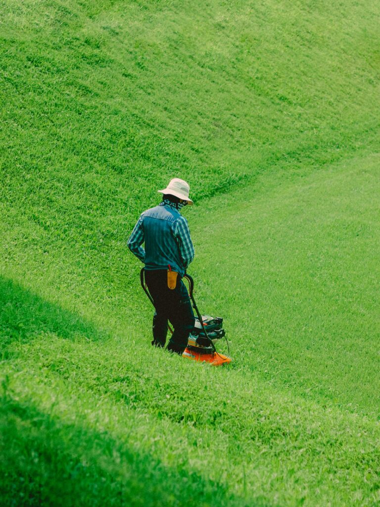 Back view of a man mowing grass on a sunny day with a vibrant green lawn.